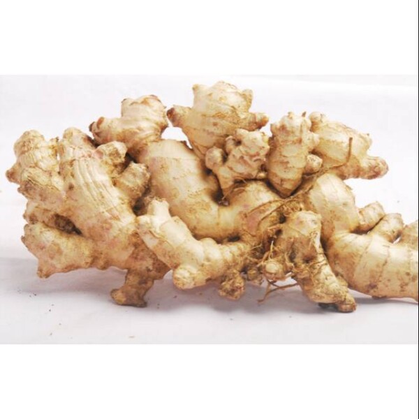 JAHE EMPRIT 200 G